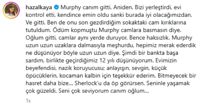 Hazalllllllll