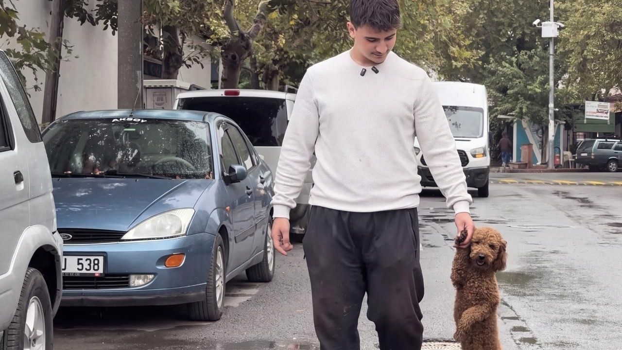 Köpeğiyle Yürüyüşü Eleştiri Konusu Oldu Sahibi Konu Hakkında Açıklamada Bulundu (1)