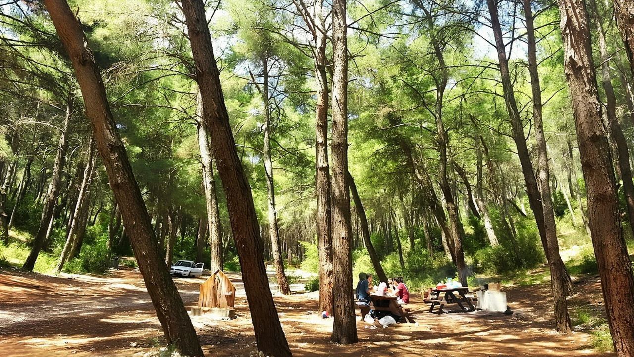 Manşet Tasarim (1280 X 720 Piksel)-56