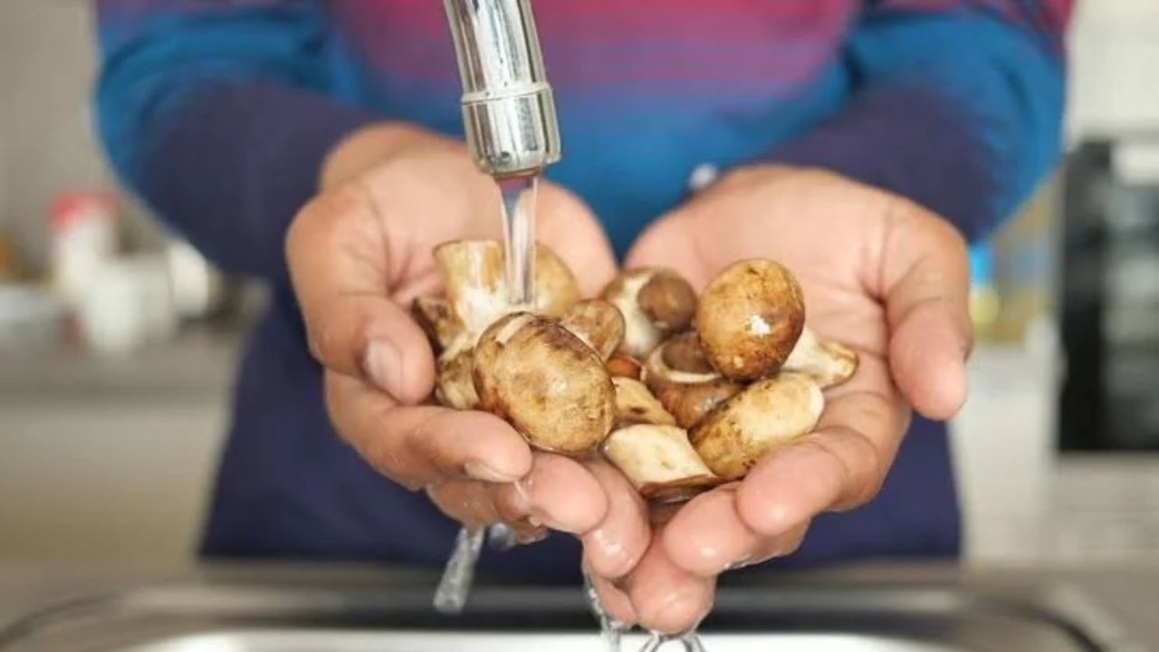 Mutfakta tartışılan sorunun yanıtı ortaya çıktı!  Mantar yıkanır mı, silinir mi?