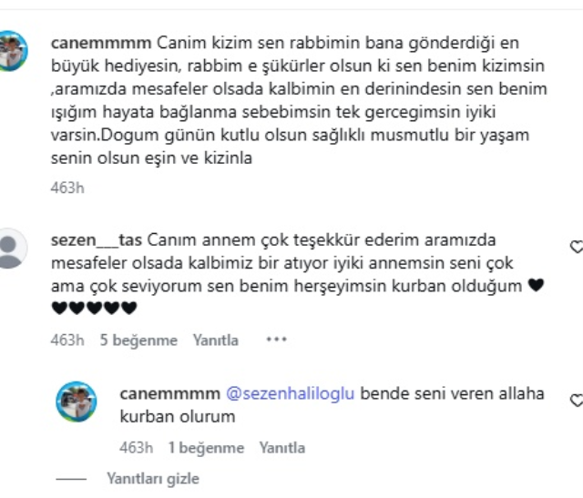 Sezen Anne
